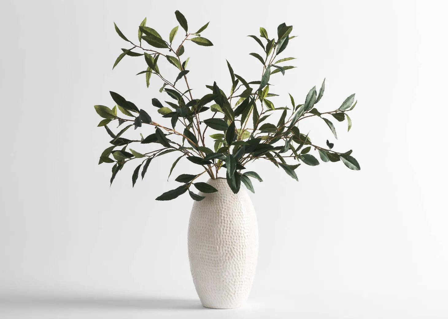 Abrell Vase & Elena Laurel Spray Branches