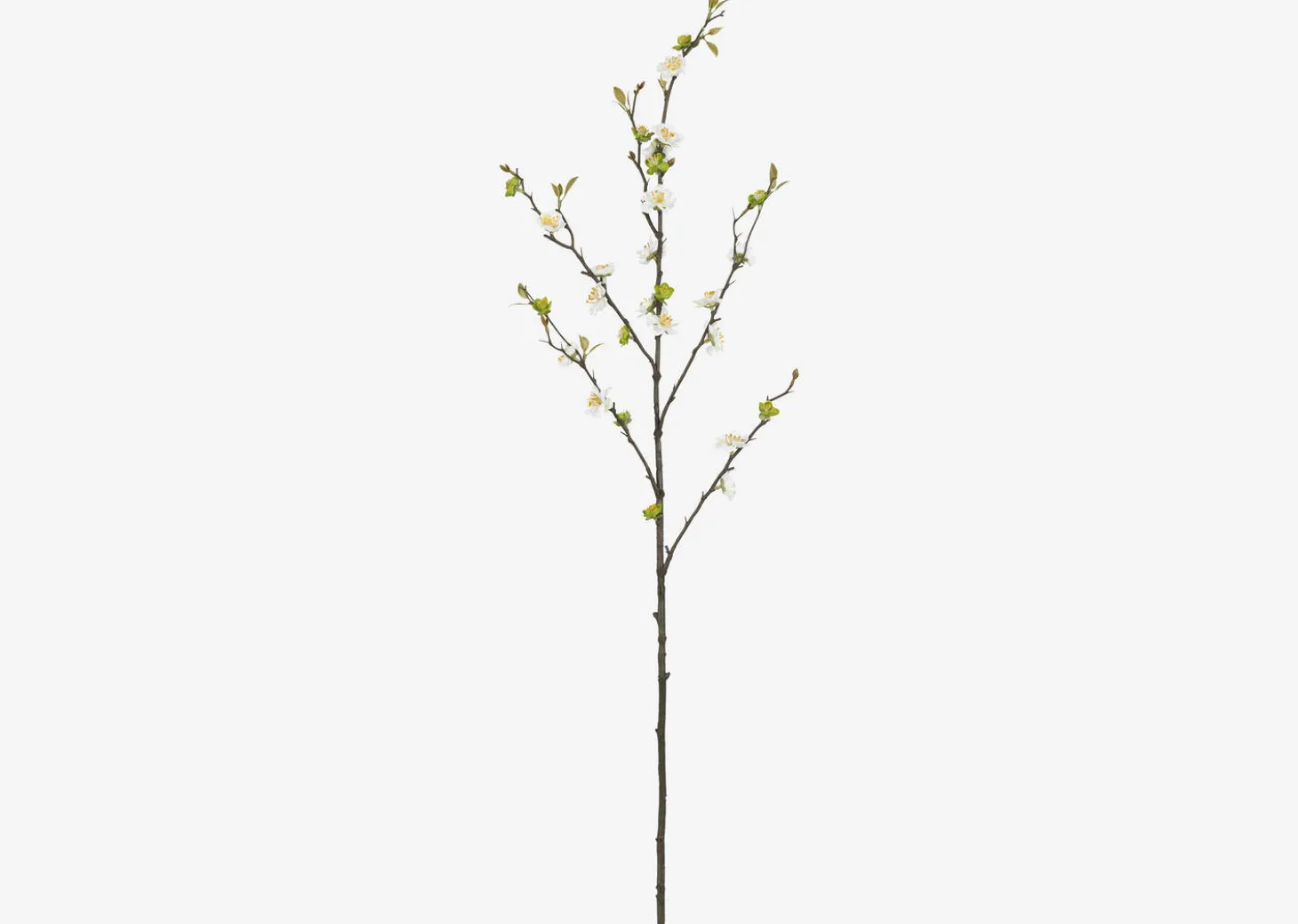 Aliana Plum Blossom Branch