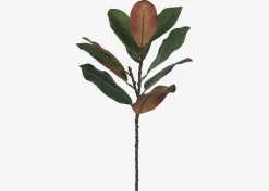Aster Magnolia Branch Green/Brown