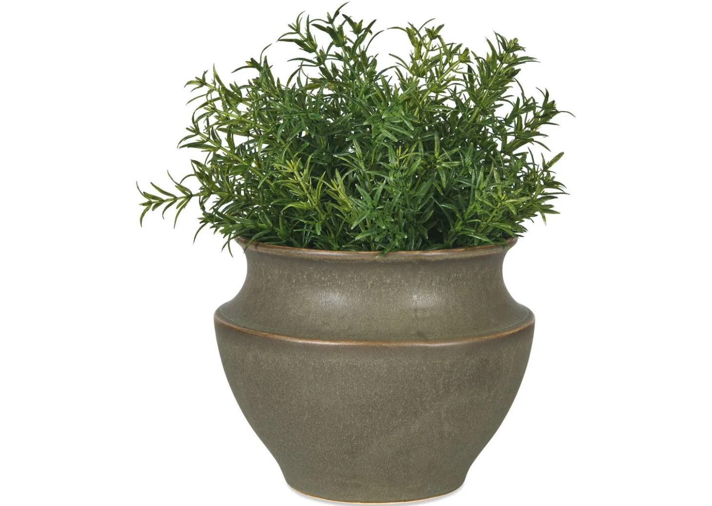 Barber Planter