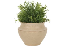 Barber Planter