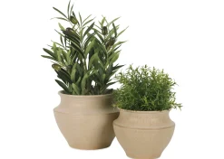 Barber Planter