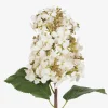 Beth Cone Hydrangea Stem White