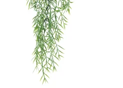 Bray Snapdragon Branch