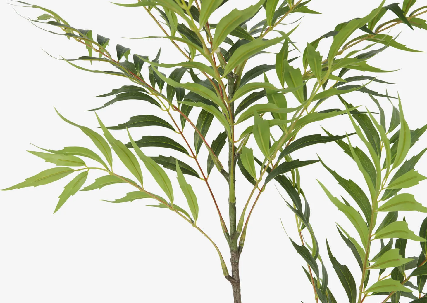 Bryce Bamboo Palm Branch