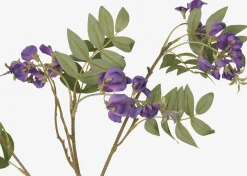 Byer Wisteria Branch