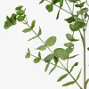 Cale Mini Eucalyptus Spray