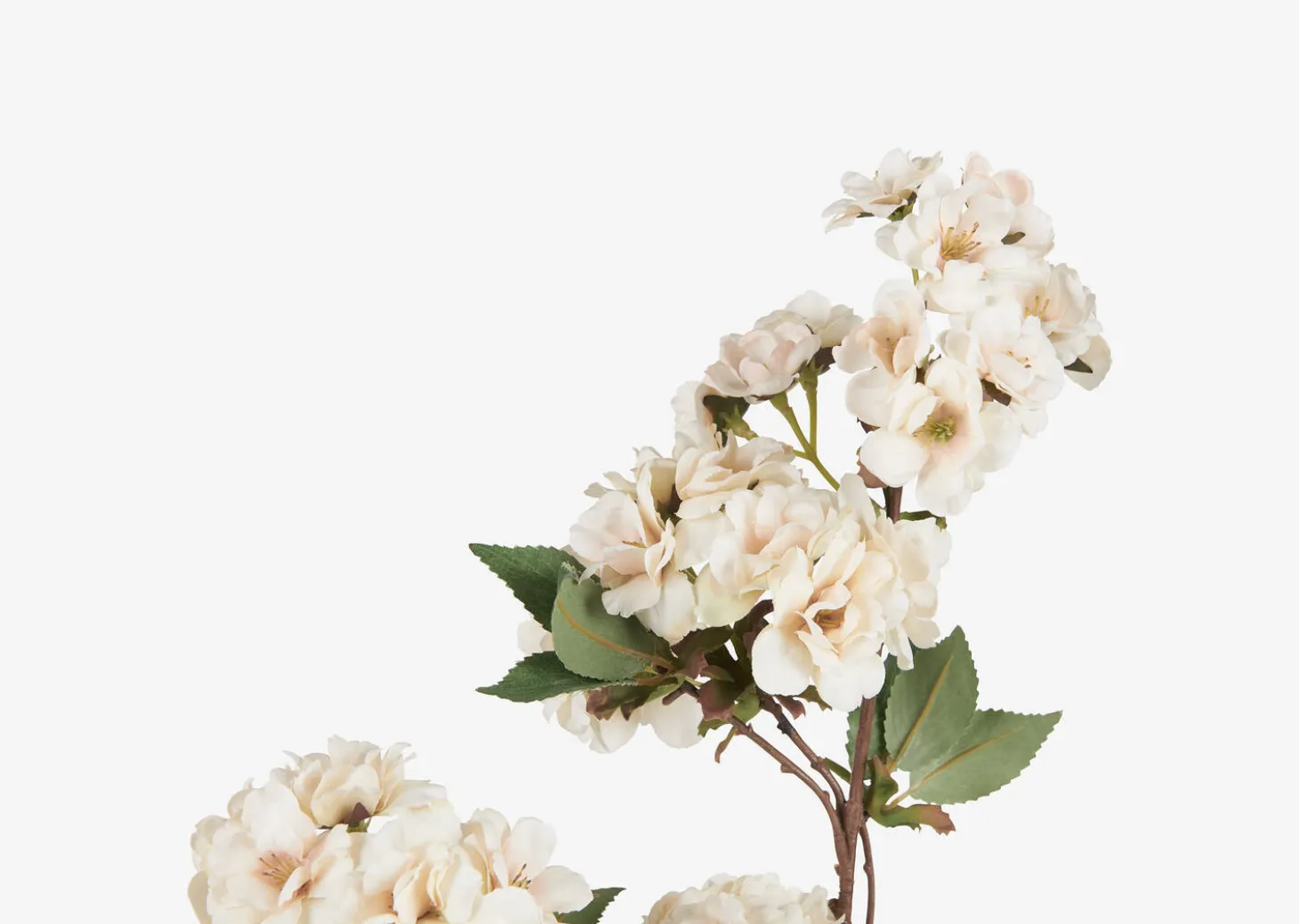 Canyon Vase & Kya Cherry Blossom Branches
