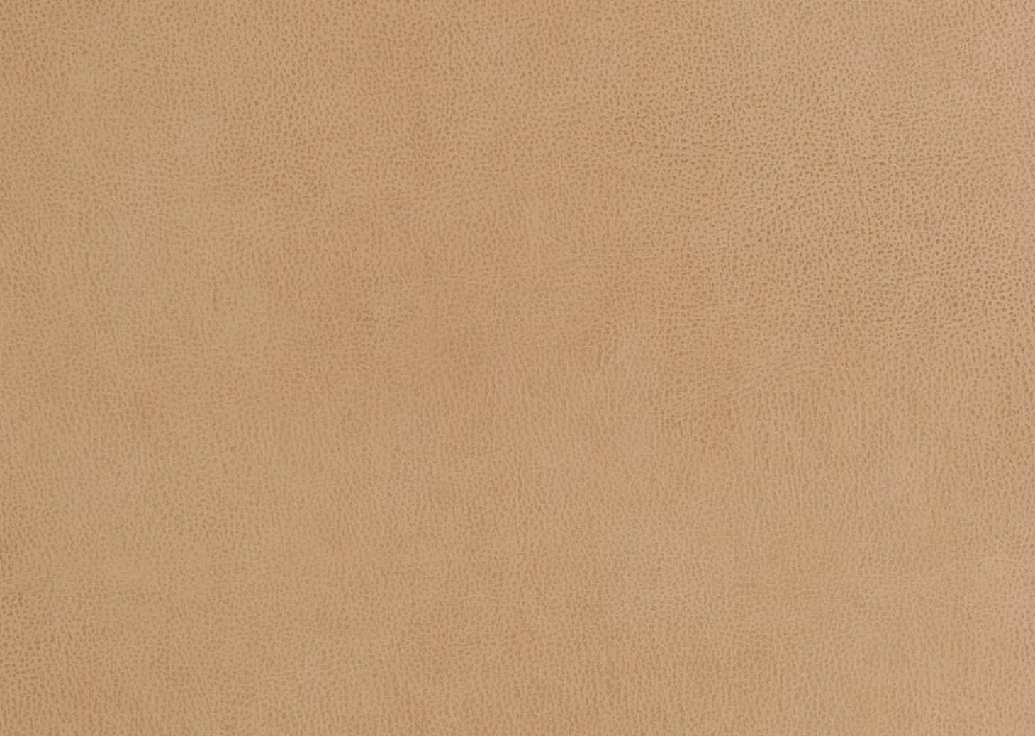 Carson Leather Sofa