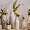 Cate Echinacea Stem Ivory