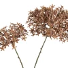 Dunne Allium Branch
