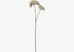 Dunne Allium Branch