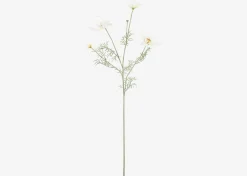Elana Anemone Stem