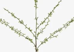 Hopper Mini Spring Branch
