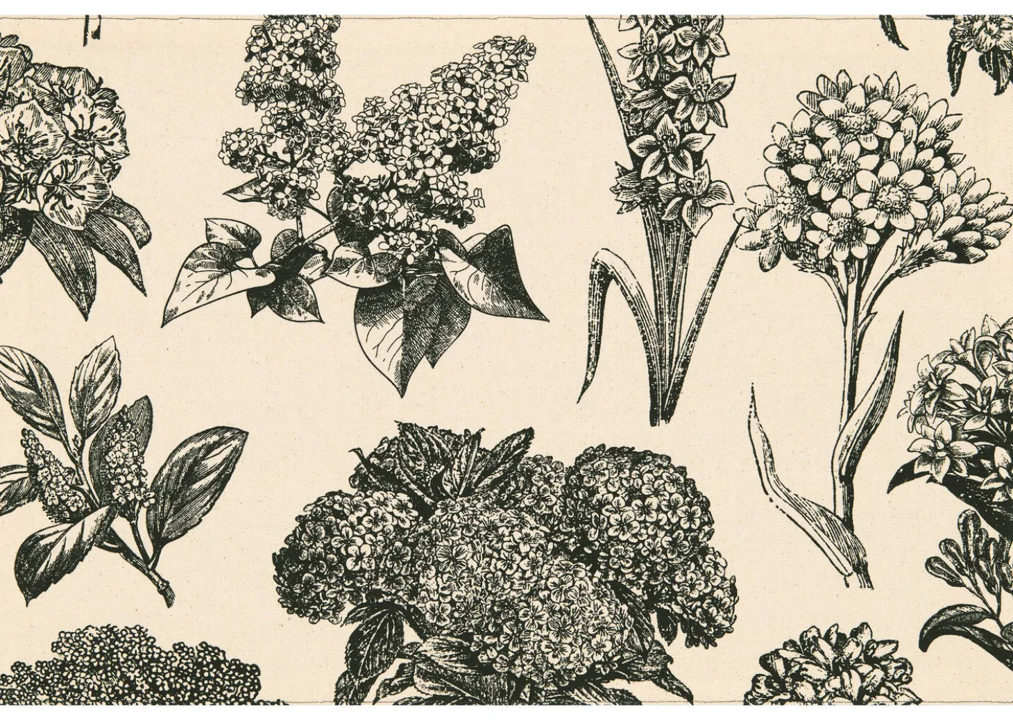 Hydrangea Placemat Natural/Black
