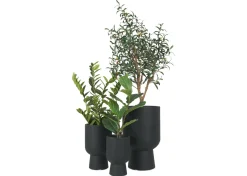 Ingrid Planter