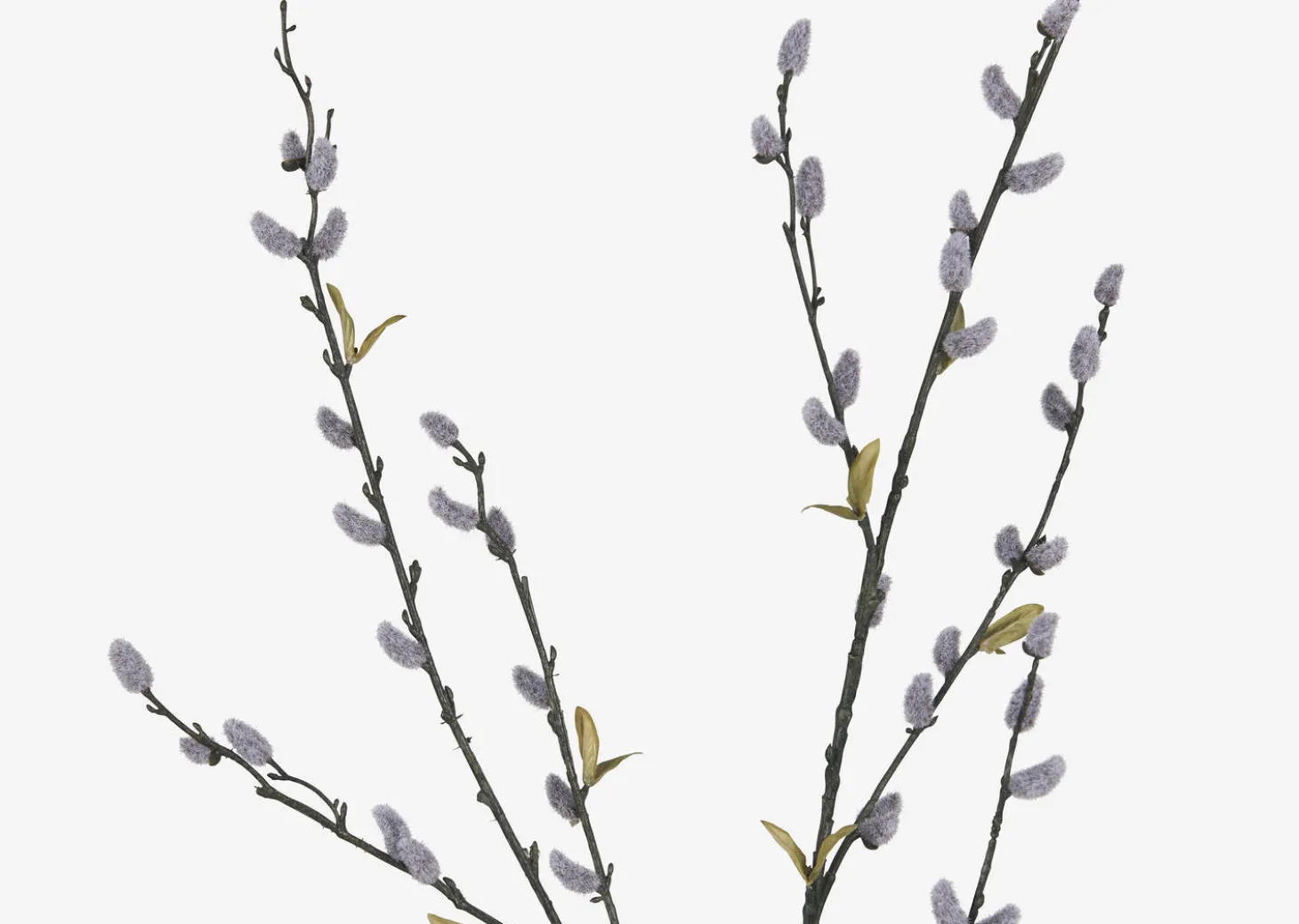 Jessa Pussy Willow Branch