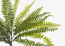 Jylan Long Fern Bunch