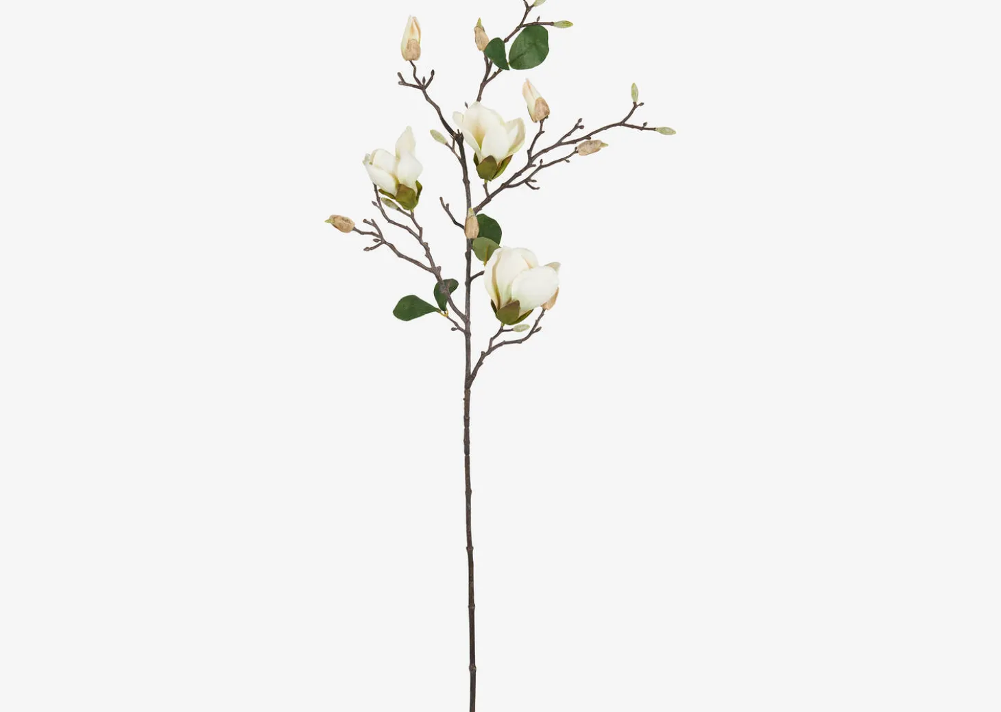 Keery Magnolia Branch Ivory