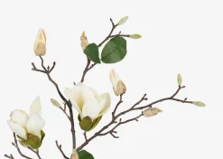Keery Magnolia Branch Ivory