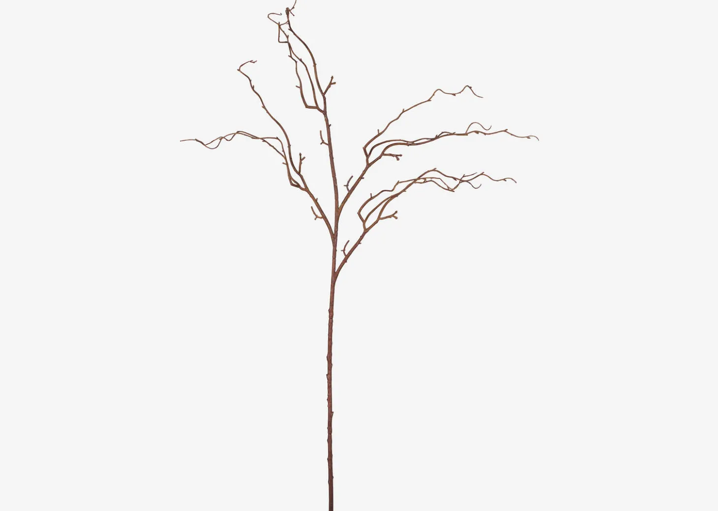 Liliana Willow Branch Stem