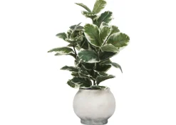 Linna Planter