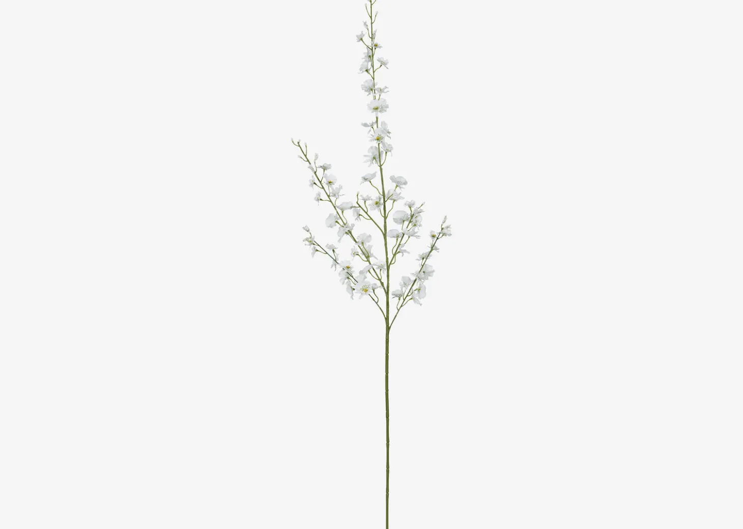 Liza Dancing Orchid Branch