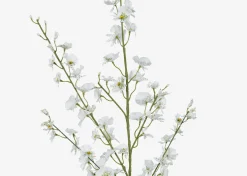 Liza Dancing Orchid Branch