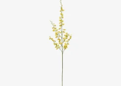 Liza Dancing Orchid Branch