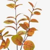 Luis Eucalyptus Stem Caramel