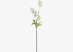 Mandi Floral Stem