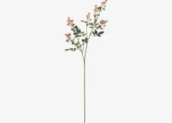 Matilda Rose Branch