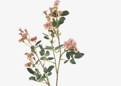 Matilda Rose Branch