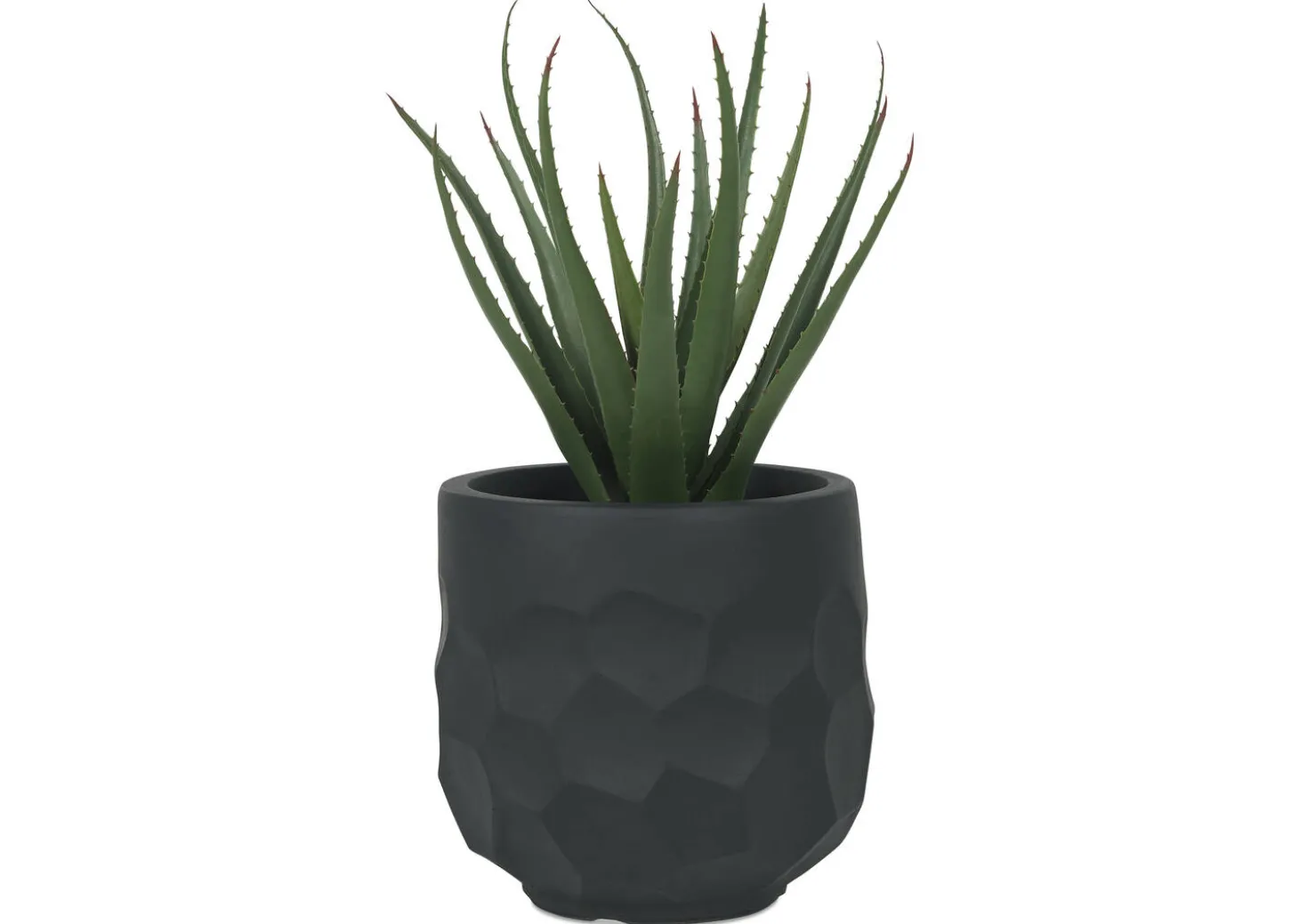 Ollie Planter