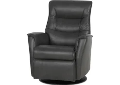 Paramount Leather Recliner