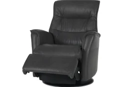 Paramount Power Recliner