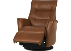 Paramount Power Recliner