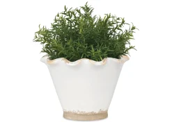 Ruffled Planter