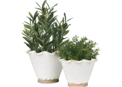 Ruffled Planter