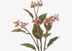 Saskatoon Berry Branch