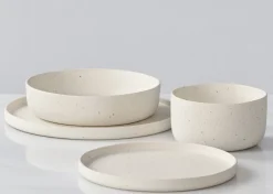 Saturna 16 piece Dish Set