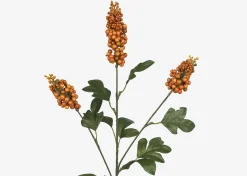 Scarlett Firethorn Stem Orange