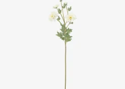 Vera Chrysanthemum Branch