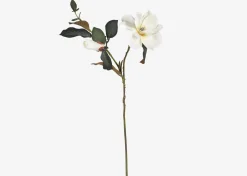 Wess Magnolia Stem
