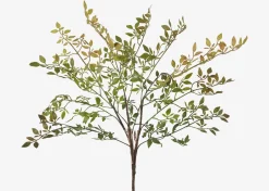 Wren Leaf Bush